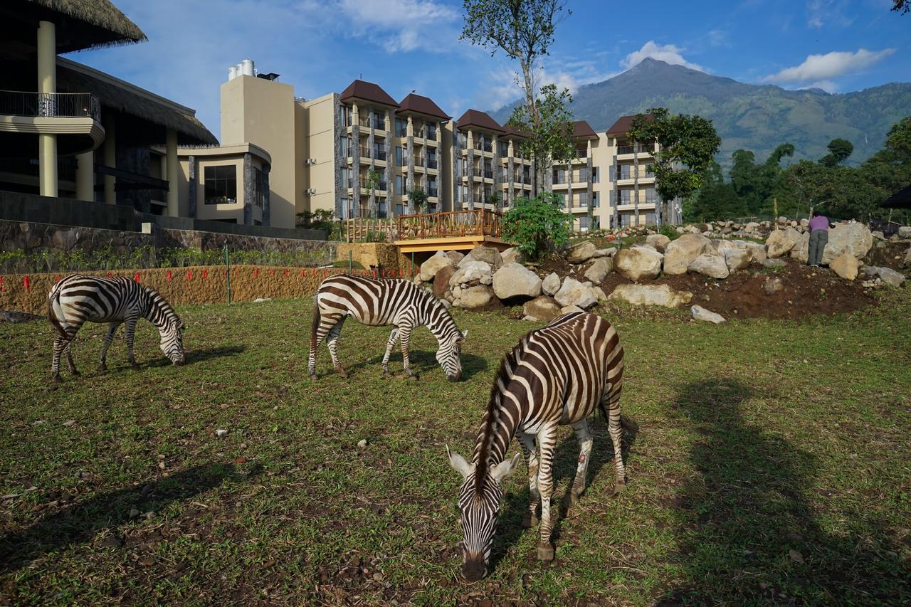 Baobab Safari Resort Prigen Exteriör bild